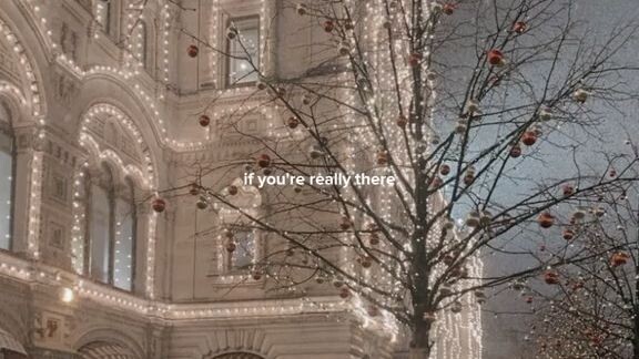 marry Christmas everyone 🌲🎄