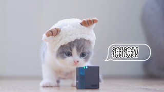 话筒给你，小奶猫：下面我来讲两句