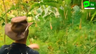 Review Cuộc Sống Hoang Dã - sinh tồn đầu bếp và thợ săn. Sống như những vị vua nơi hoang dã p3