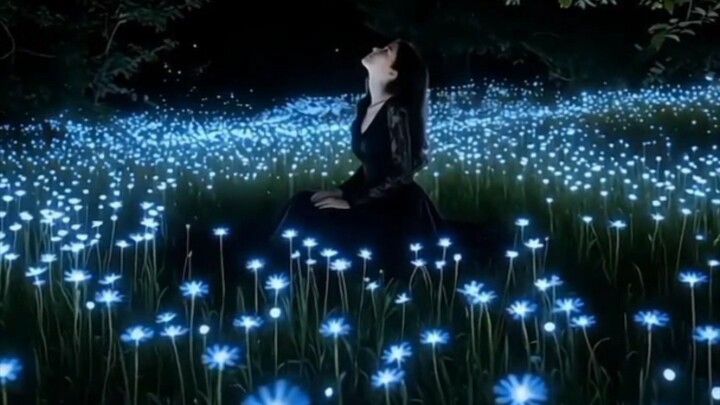 今夜星空治愈 | 3分钟氛围感，送给疲惫的你 🌌