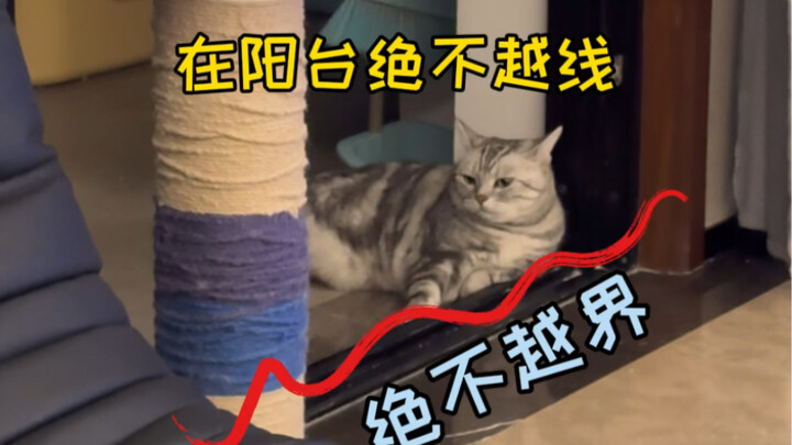 Finally found a way for my Southern cat to deal with the Northern floor heating! If I don’t turn off