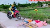 Best Funny Videos 2020 🤣 😂 Try Not To Laugh Challenge - Cười Vỡ Bụng | Episode 133