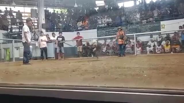 bwenas talaga kalaban talo na nakatuka pa bawii next life 😆