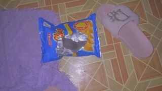 Mr. Chips with cutie mouse