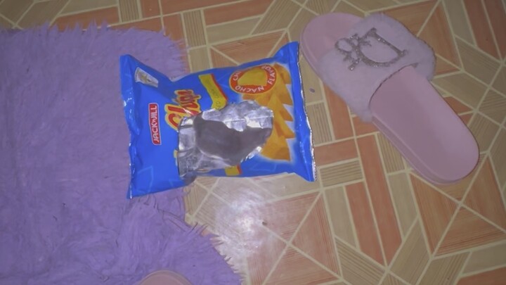 Mr. Chips with cutie mouse