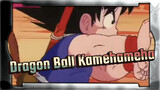 Master Roshi's first display of Kamehameha - Goku learns it immediately!