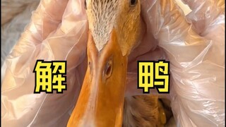 Let's crack a "duck" this weekend