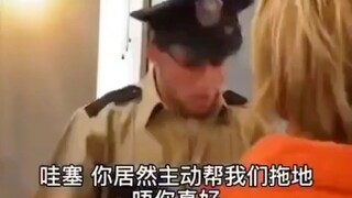 这下好了菊花不保