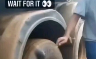 Apakah kamu yang melindunginya? Haojing: Tidak peduli seberapa jahatnya seseorang, mereka pasti haru