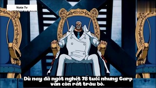 Top 7 Người Có _Ý Chí Của D_ Trong One Piece #24- 8