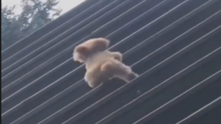 Kembaran si kecil memang nggak bisa disembunyikan!