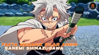 Hampir membunuh nezuko!! ini dia beberapa fakta menarik dari sanemi shinazugawa🤯