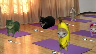 The Reason Why Banana Cat Is Diligently Training His Superpowers
