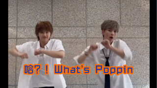 JYP韩乐队Xdinary Heroes（金正洙&吴承珉）翻跳BOYSTORY前辈《哈？！What's Poppin》