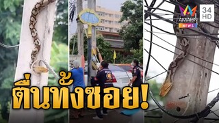 แห่ส่องเลขซอย เหลือมเลื้อยขึ้นเสาไฟฟ้า | ข่าวอรุณอมรินทร์ | 25/9/67