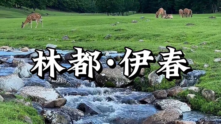 ที่มณฑลเฮยหลงเจียงมีเมืองหนึ่งที่น่าเห็นใจอย่างยิ่ง เพราะพื้นที่ถึง 83% ปกคลุมด้วยป่าไม้ กระทั่งเพื่