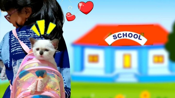Bayi Kucing Imut Masuk Tas, Mau Ikut Sekolah Kakak Hanum 😹 Kucing Mochi