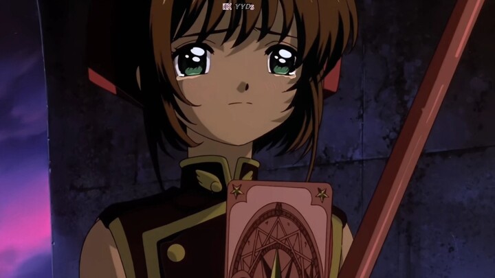 Sakura di Dua Dunia Ini Benar-Benar Berbeda