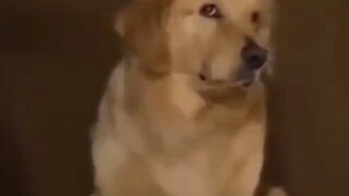 旁边还有个煽风点火的哈哈