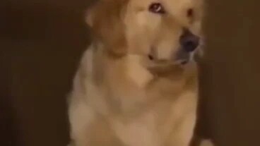 There's also someone stoking the flames nearby, haha