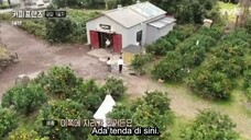 Coffee Friends ep 2 (indosub)