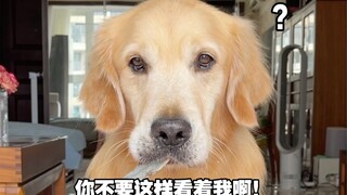 哪个小狗不爱吃麻辣烫的？！