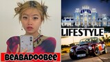 Beabadoobee (Singer) Lifestyle, Biography, Networth, Realage, Hobbies, Income, |RW Facts & Profile|