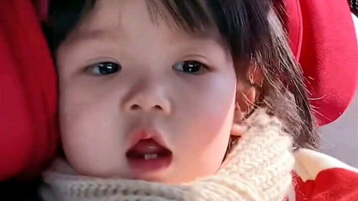 “Human babies might seem a bit childish to elementary school students, but they’re just the right am
