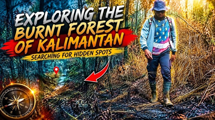 menjelajah hutan rawa Kalimantan dan mencari spot rahasia part 2