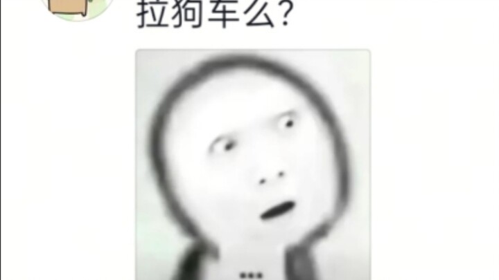 Quá bốc, mai cưỡi chó đi làm! Hahaha!