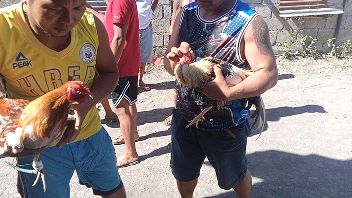 first fight lose mga boss Quezon city location