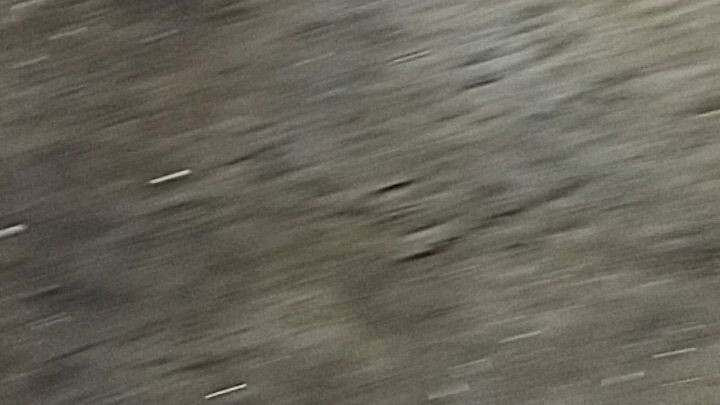 premirong testing Kang miyahen ✔️🐓