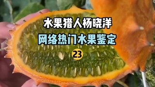 [Fruit Hunter x Hunter] Identifikasi Buah Populer Online 23