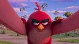 The Angry Birds Movie 3 | Now In Production | Coming soon to GSC