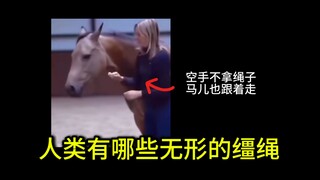 明明没有闹钟，我却醒了......