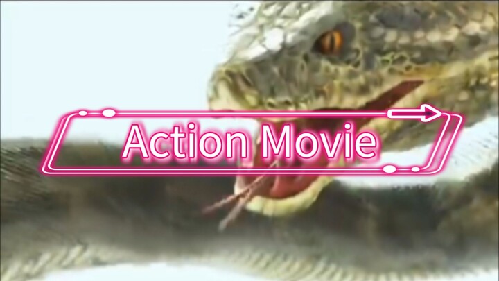 Hollywood action movie