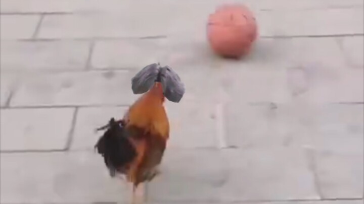 What are you doing?!