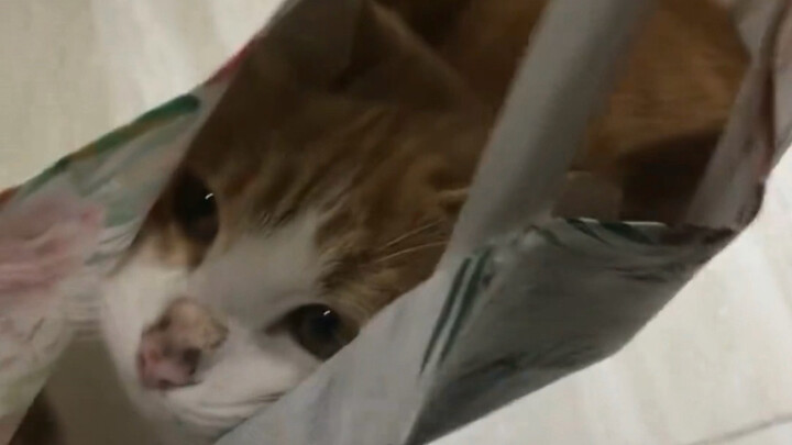 Man, you actually managed to handle Mi in the rainy world.