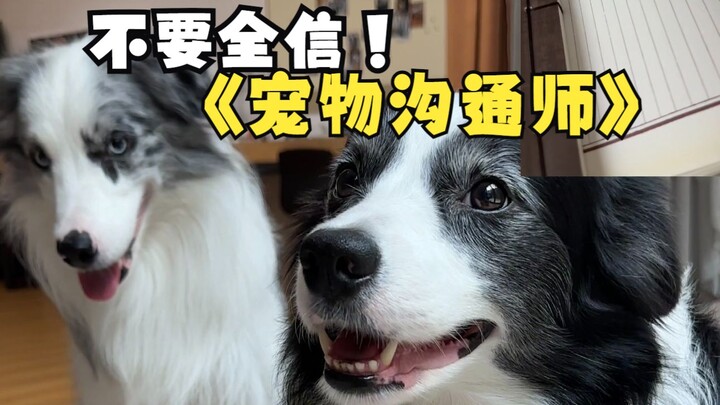 Don’t take everything a pet communicator says at face value!
