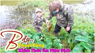 Đánh Bẫy Chuột Đồng - Dùng 60 Chiếc Cạm Kiềng Đi Bẫy Chuột Kiếm Thức Ăn Mùa Dịch Và Cái Kết