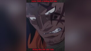 tôi không tin sabo mấtanimebuon animeotaku luffyonepiece onepieceluffy ConGaiMienTay