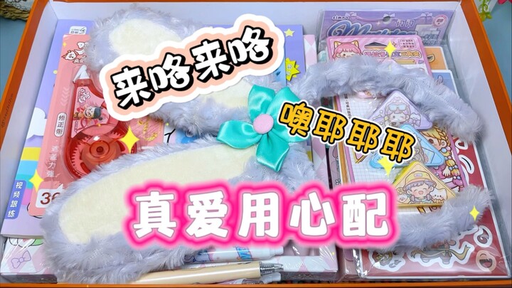 真爱手帐用心配