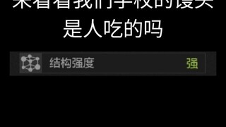 学校的军工级馒头