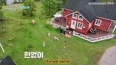 rented in FL ep10