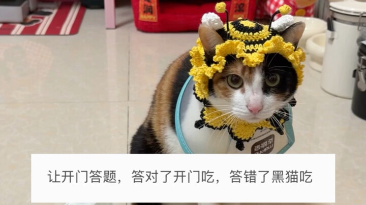 You get smarter under pressure—so you were just holding back all along?