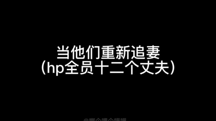 【hp乙女】当他们重新追妻