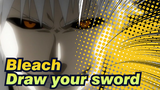 Bleach|Draw your sword!Ichigo!