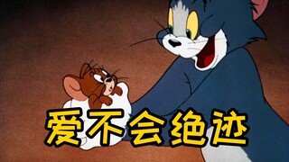 这才是《爱不会绝迹》原版MV