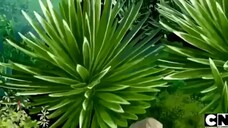 kartun anak Tom and Jerry bahasa indonesia