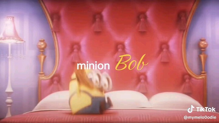 my bobb